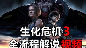 冬季舞会游戏攻略 VS 电脑游戏生化危机3攻略